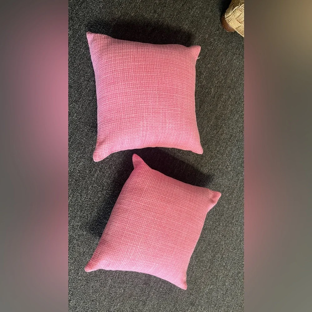 Two pink 14 inch statement pillows